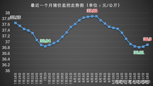 全国最新猪价动态分析