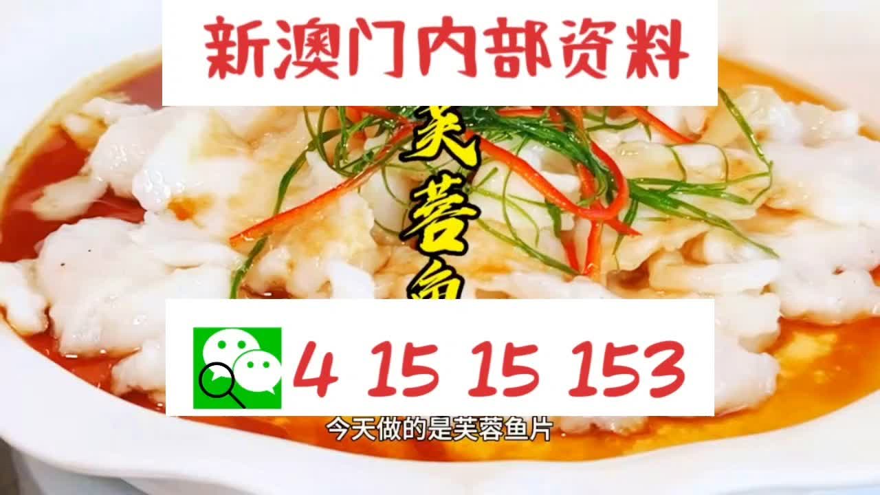 新澳门2024年资料大全管家婆，探索与期待