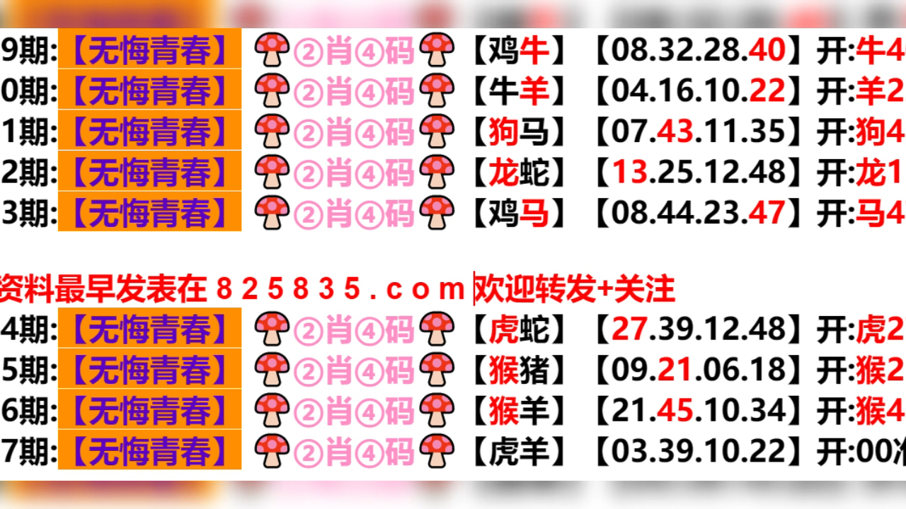 2024年新奥门天天开彩|精选解释解析落实